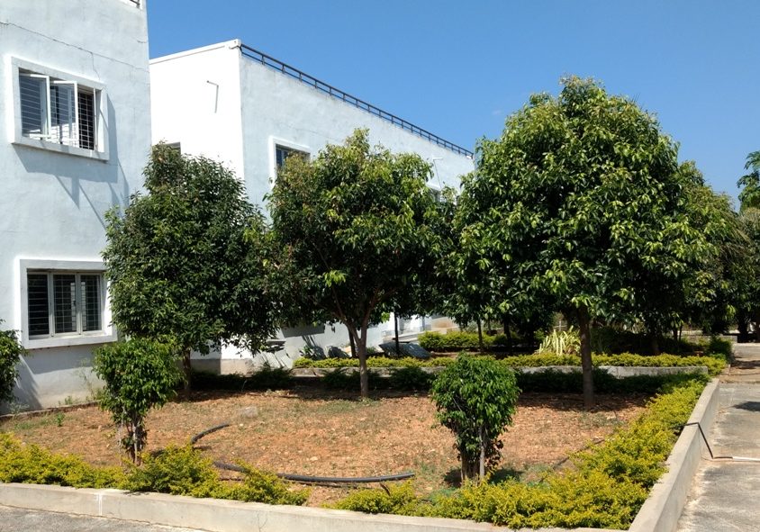 IMG_20171107_115653614